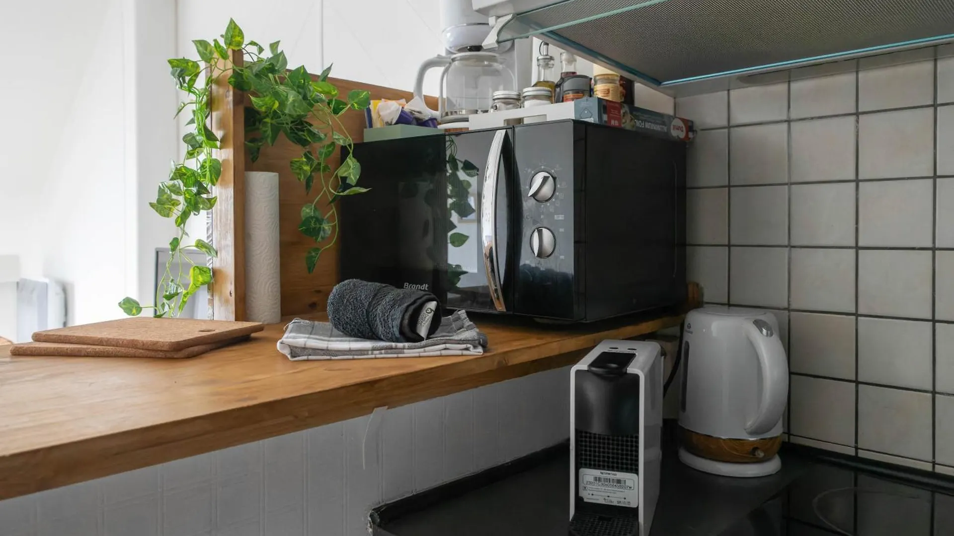 Le Cedre - Appartement Calme Et Charmant En Centre-Ville Vichy Apartment
