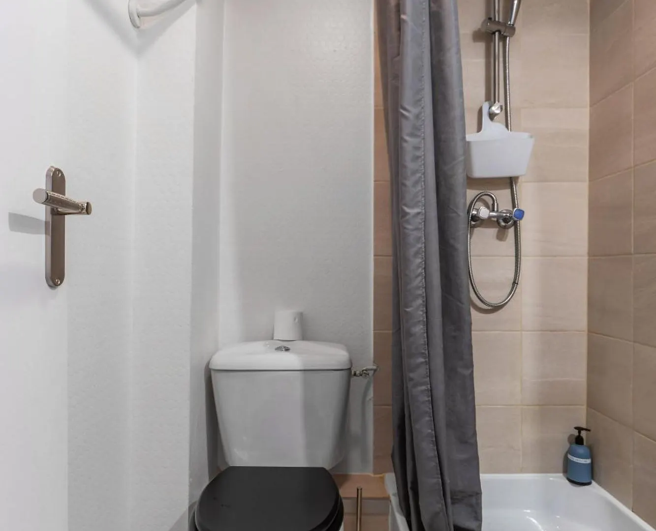 Le Cedre - Appartement Calme Et Charmant En Centre-Ville Vichy Apartment